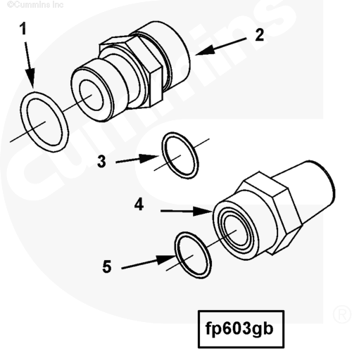 3171722 Cummins Male Union Engine Parts - Buy 3171722, Male Un ion ...