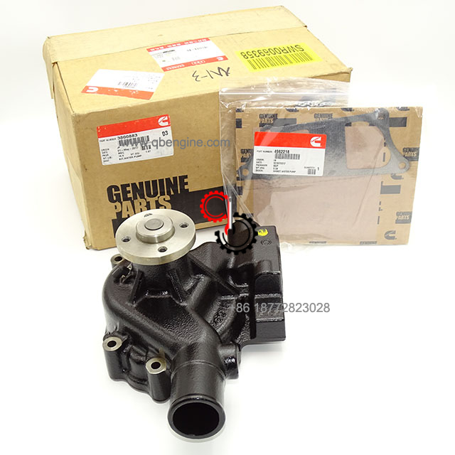 3800883 5404284 5301482 C6204611601 Genuine Cummins Water pump Agricultural Machinery Parts