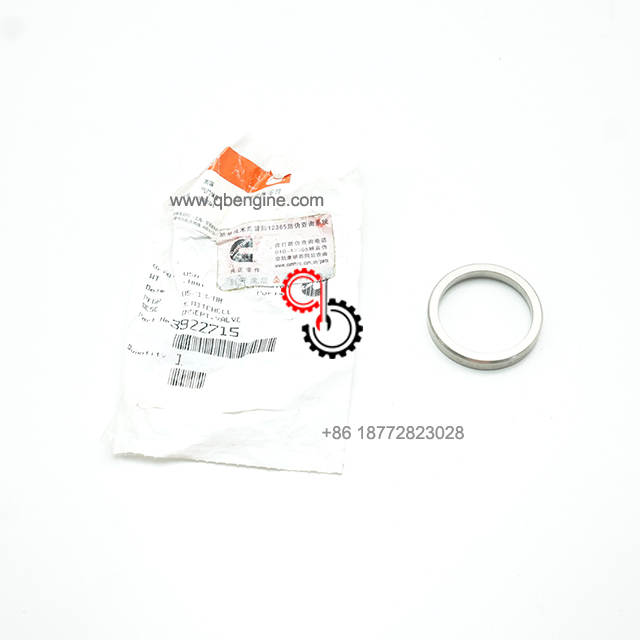 3922715 6BT ISC Valve Insert Genuine Cummins Diesel Engine Parts