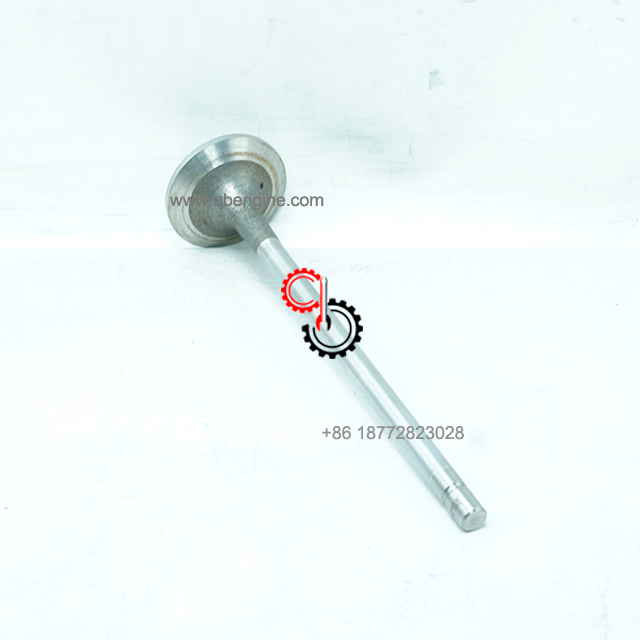 2881815 3641540 Genuine Cummins Diesel Engine Intake And Exhaust Valve