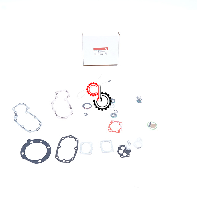 Genuine Diesel Engine Spare Parts 3004122 Cummins Fuel Pump Gasket Set 3010242