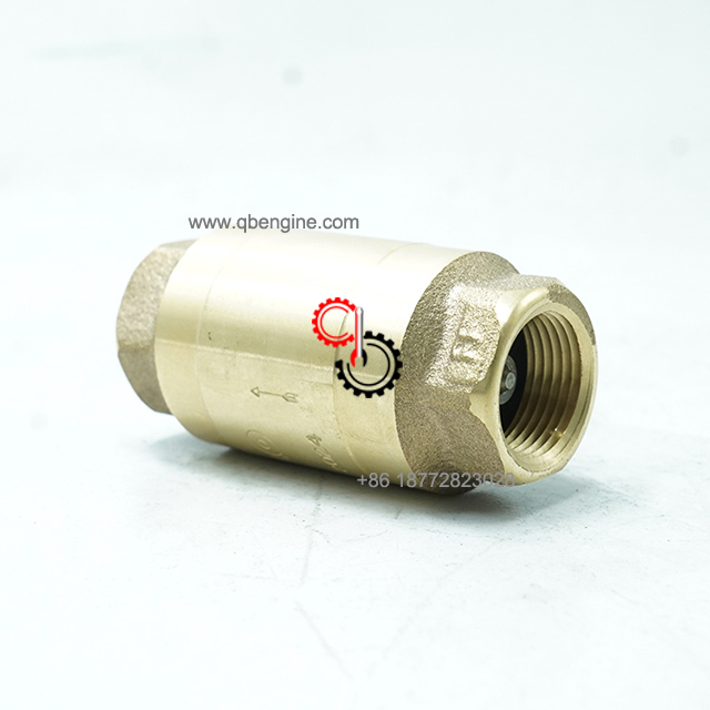 3643839 4007204 Original Cummins QSK78 Check Valve One Way Marine Engine Parts
