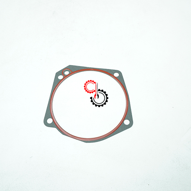 Diesel Engine Parts Cummins K19 Hydraulic Pump Gasket 3007380