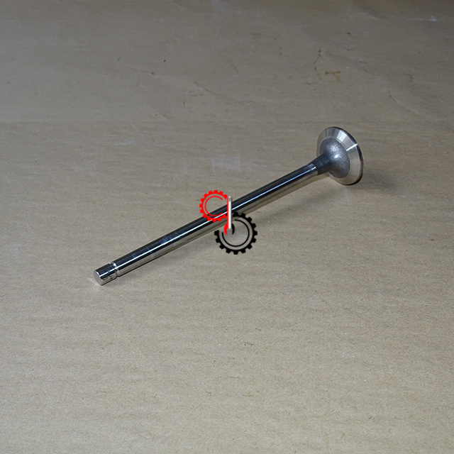 Engine Parts Cummins ISM11 QSM11 M11 Intake Valve 3804533 3800636 4955239 3080975 3417778 4926069 