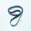 OEM Quality Cummins Engine Parts V Ribbed Belt 5575841