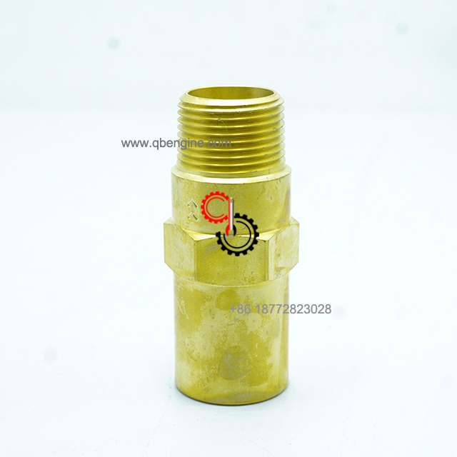 Universal Cummins Engine Spare Parts Stainless Check Valve 3633246