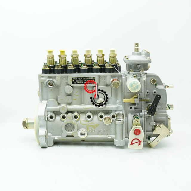 6CTA8.3 C230 C240 C260 Cummins Diesel Fuel Injection Delph Pump 3976437