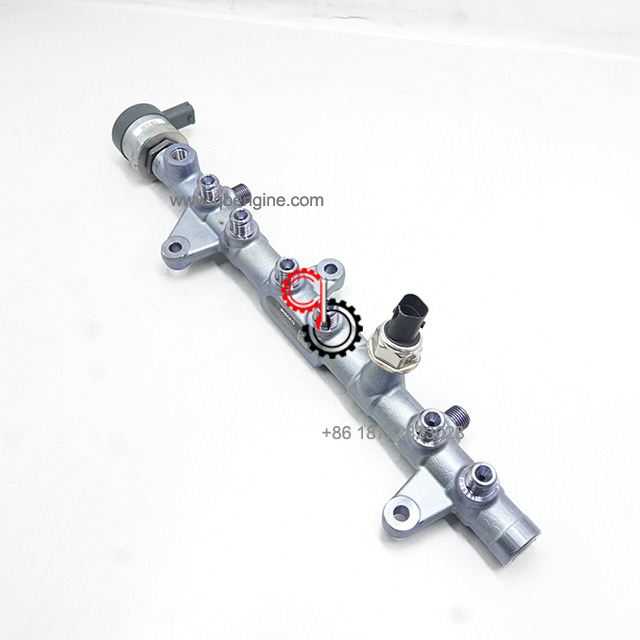 Professional Cummins ISB QSB B6.7 Diesel Spare Parts Fuel Rail Accumulator 5304161 0445226135
