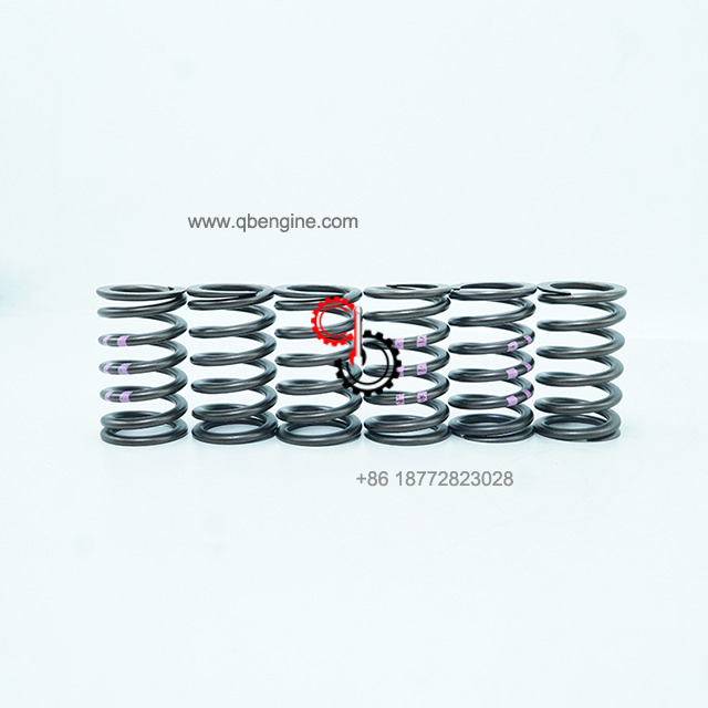 High Performance Cummins Engine Components 5591415 Valve Spring 5591415