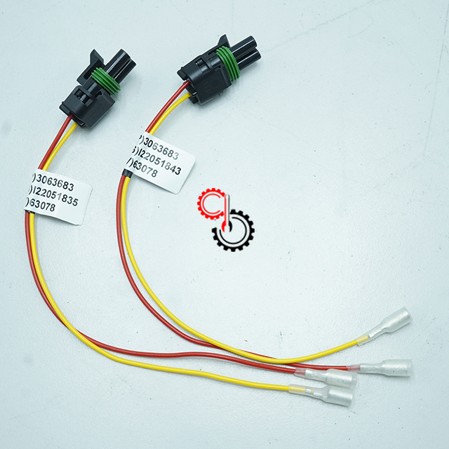 Machinery Engine Spare Parts Cummins Wiring Harness 3063683 Cummins K19 KTA19 G QSK19 CM558 CM2150 CM2350 CM500 CM850 3063683