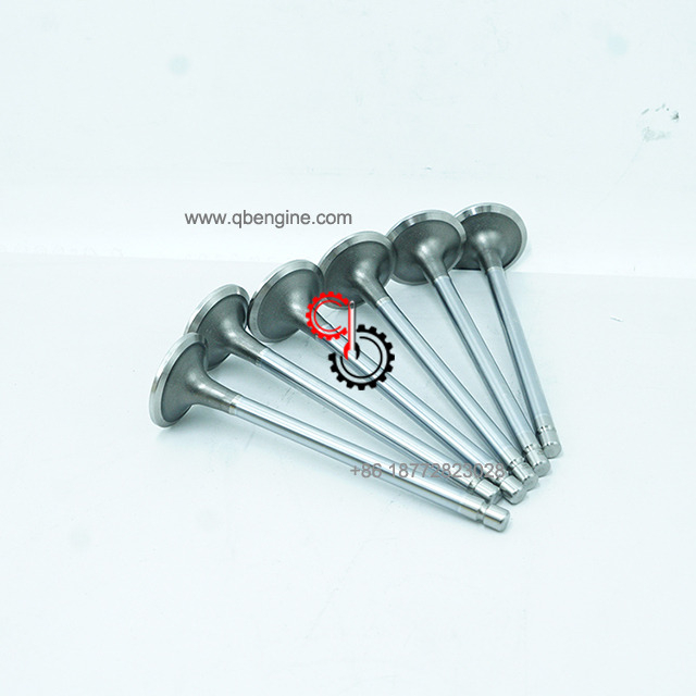OEM Spare Parts Intake Valve 5307875 for Cummins ISL QSL Diesel Engine