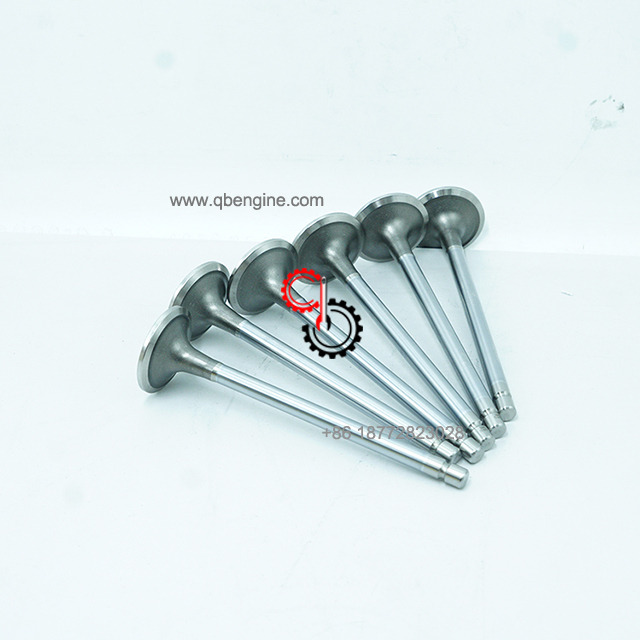 OEM Spare Parts Intake Valve 5307875 for Cummins ISL QSL Diesel Engine