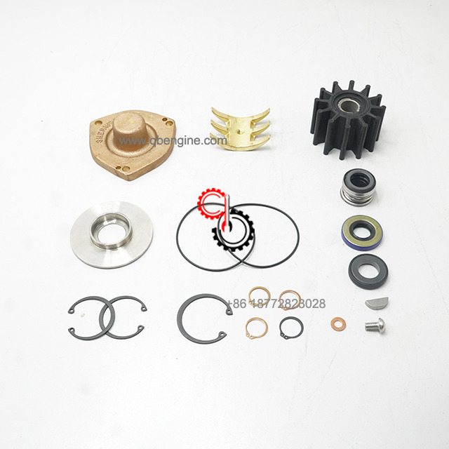 Low Price Cummins Diesel Engine Parts Water Pump Repair Kit A073R239