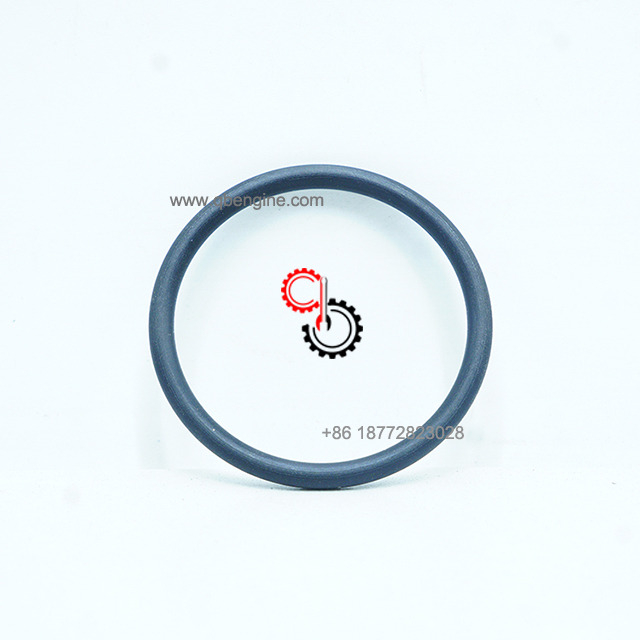 Genuine Cummins Engine Spare Parts 4982115 O Ring Seal 4982115