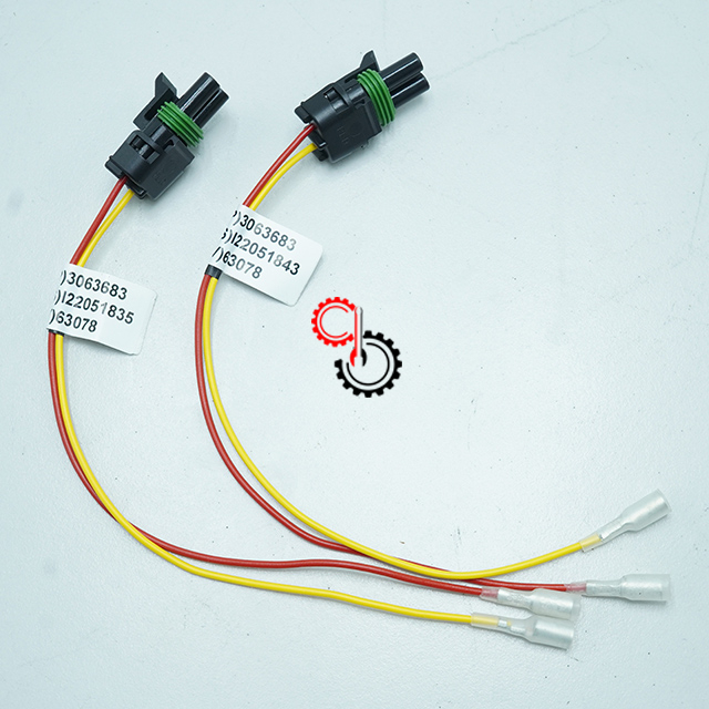 Machinery Engine Spare Parts Cummins Wiring Harness 3063683 Cummins K19 KTA19 G QSK19 CM558 CM2150 CM2350 CM500 CM850 3063683