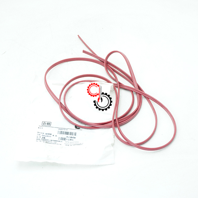 Marine Engine Parts Cummins ISM QSM Rectangular Strip Seal 4089995 4920751