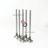 4999807 High Quality Cummins ISZ QSZ Exhaust Valve 4999807 Industrial Engine Parts 