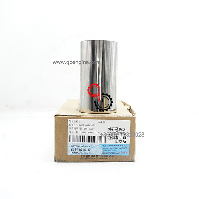 3695507 High Performance ISG QSG Engine Parts Piston Pin 3695507