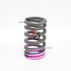 Cummins ISB QSB Engine Valve Train Part Valve Spring 5303406 4936080 3943161 5665151