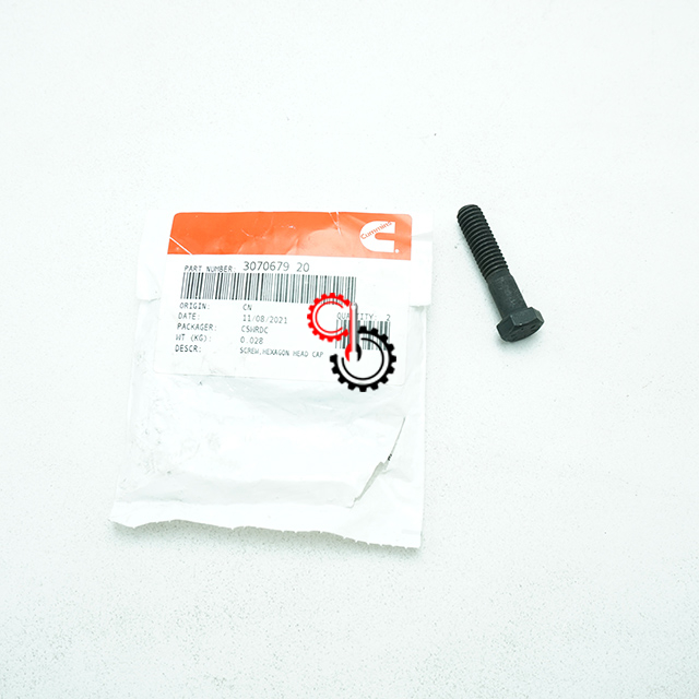 Machinery Engine Parts K19 Cummins Hexagon Head CAP Screw 3070679