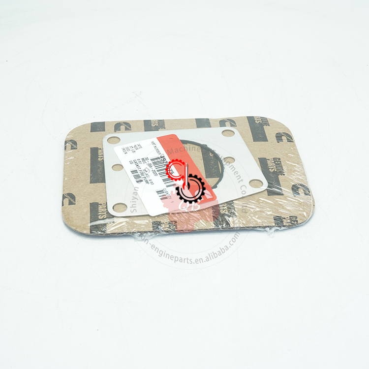 Cummins Truck Engine ISL QSL QSC Parts Gasket For Diesel Fuel Pump 4928575