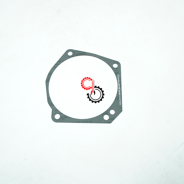 Diesel Engine Parts Cummins K19 Hydraulic Pump Gasket 3007380