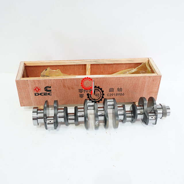 6CT 3918986 3917320 3917443 3914584 Cummins Engine Parts Engine Crankshaft Cummins 3914584 3917443 3917320 3918986