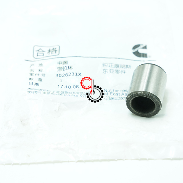 Machinery Engine Spare Parts Genuine Cummins QSM11 Ring Dowel 3026231