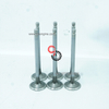 OEM Spare Parts Intake Valve 5307875 for Cummins ISL QSL Diesel Engine