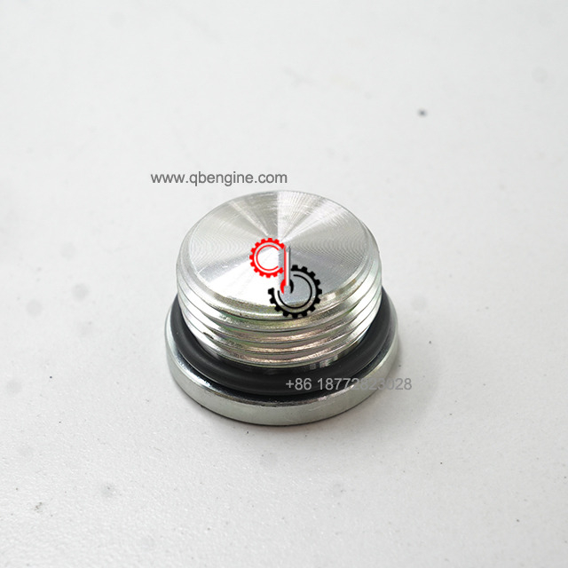 3040818 Genuine Cummins Diesel Engine Parts Threaded Plug 3040818
