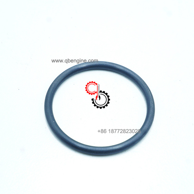 Genuine Cummins Engine Spare Parts 4982115 O Ring Seal 4982115
