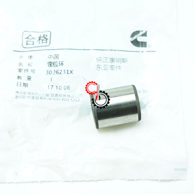 Machinery Engine Spare Parts Genuine Cummins QSM11 Ring Dowel 3026231