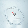 3002385 Cummins Water Pump Gasket Genuine NT855 Engineering Engine Parts