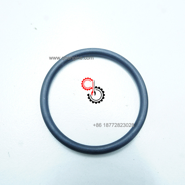 Genuine Cummins Engine Spare Parts 4982115 O Ring Seal 4982115