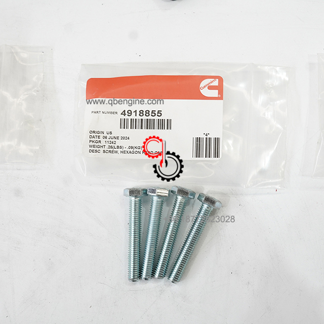 5394933 5394939 5394943 5394937 5394934 Original Crankshaft Seal Replacer Diesel Engine Parts