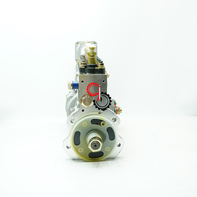 C260 20 Cummins Machinery Engine Parts High Pressure Fuel Injection Delph Pump 4934652