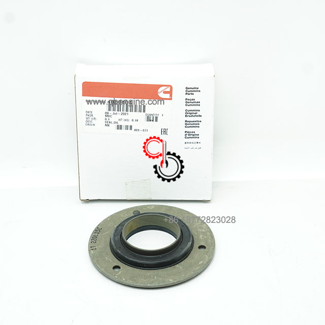 4080404 4085931 Oil Seal Part Number QSK45 Original Cummins QSK60