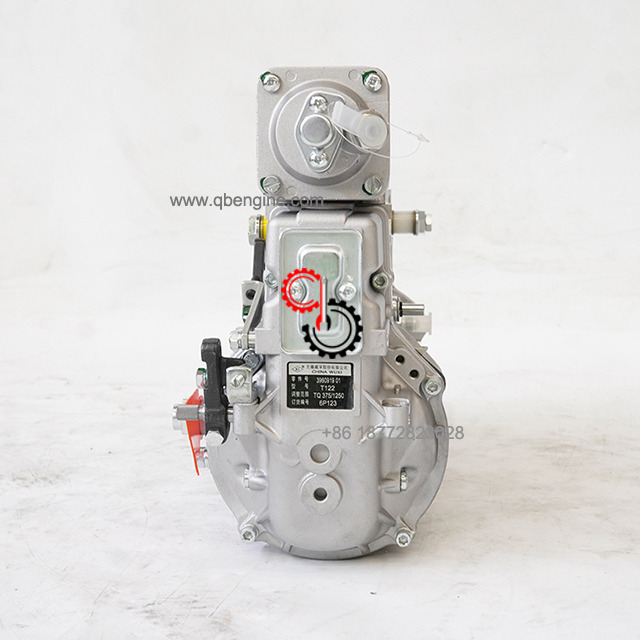 Hot Selling Cummins 6BT Fuel Injection Pump 3960919 Diesel Industrial Engine Parts 