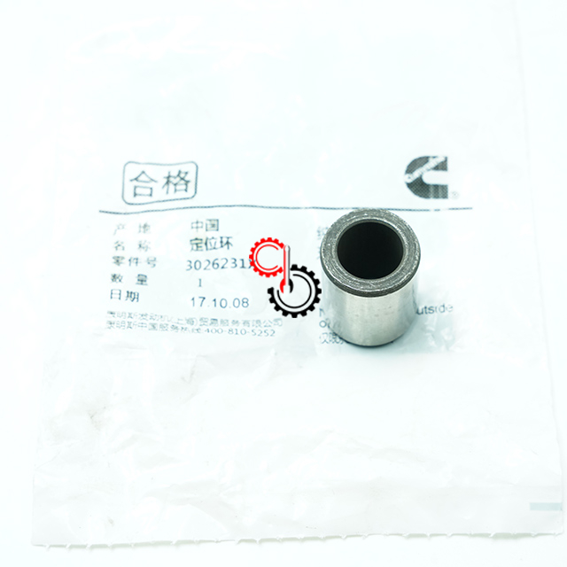 Machinery Engine Spare Parts Genuine Cummins QSM11 Ring Dowel 3026231