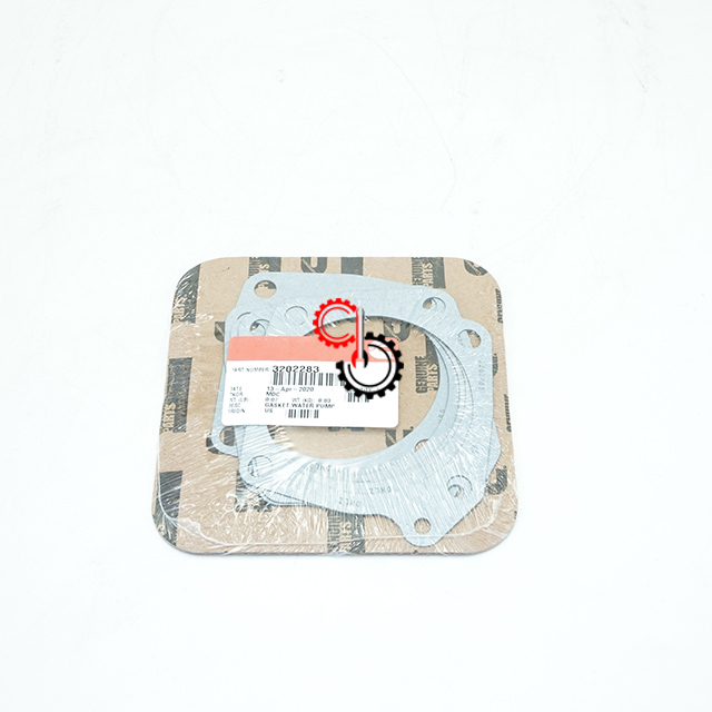 Truck Engine Parts K19 QSK Cummins Water Pump Gasket 3202283