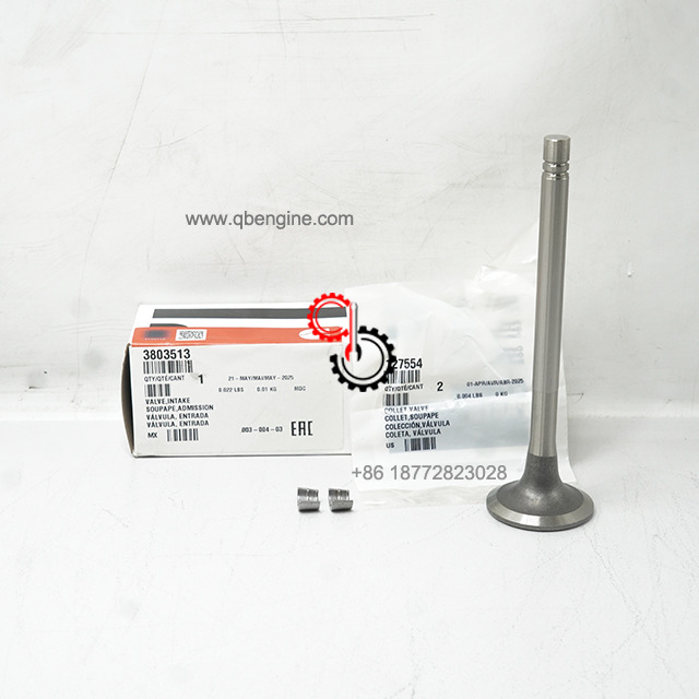 Original Engine Spare Parts Cummins Intake Valve 3803513 216707