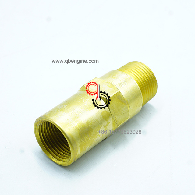 Universal Cummins Engine Spare Parts Stainless Check Valve 3633246