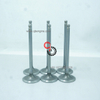 Top-Quality ISG QSG X12 Engine Intake Valve 3697413 4309572