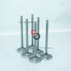 Top-Quality ISG QSG X12 Engine Intake Valve 3697413 4309572