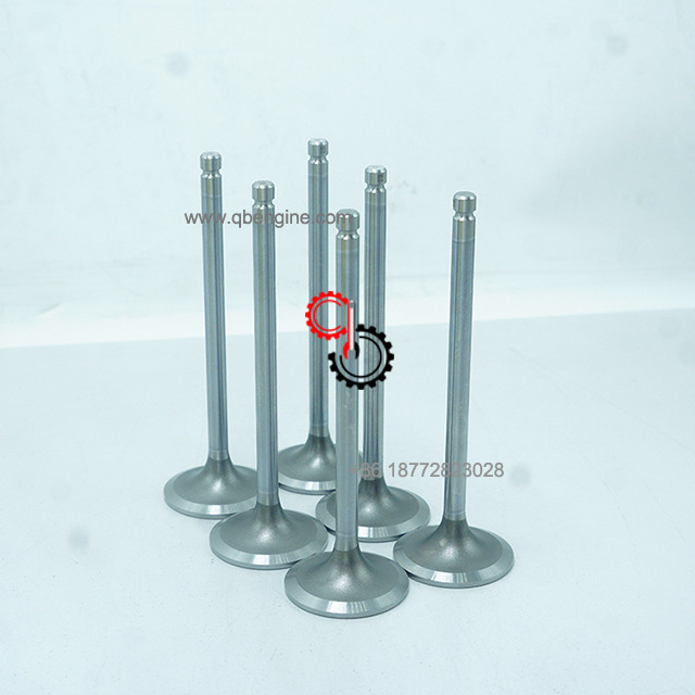 Top-Quality ISG QSG X12 Engine Intake Valve 3697413 4309572