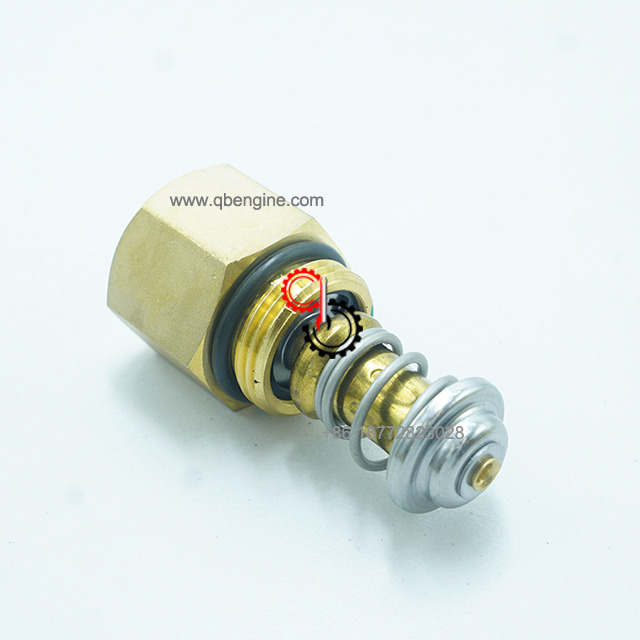 Durable Cummins Engine Parts Oil Thermostat 3696558